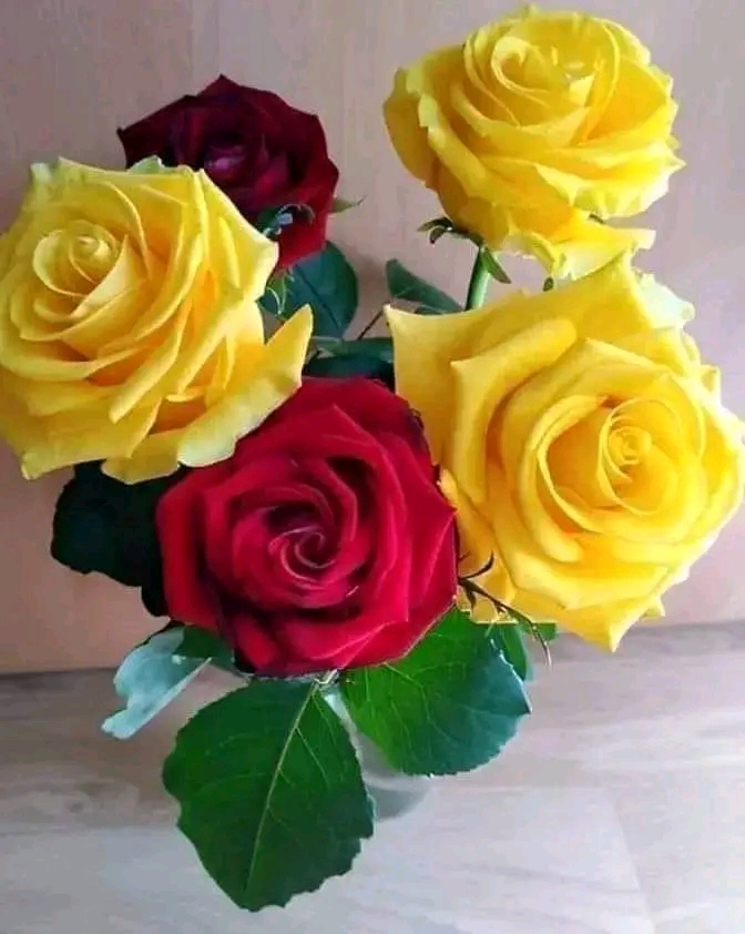 hanan
